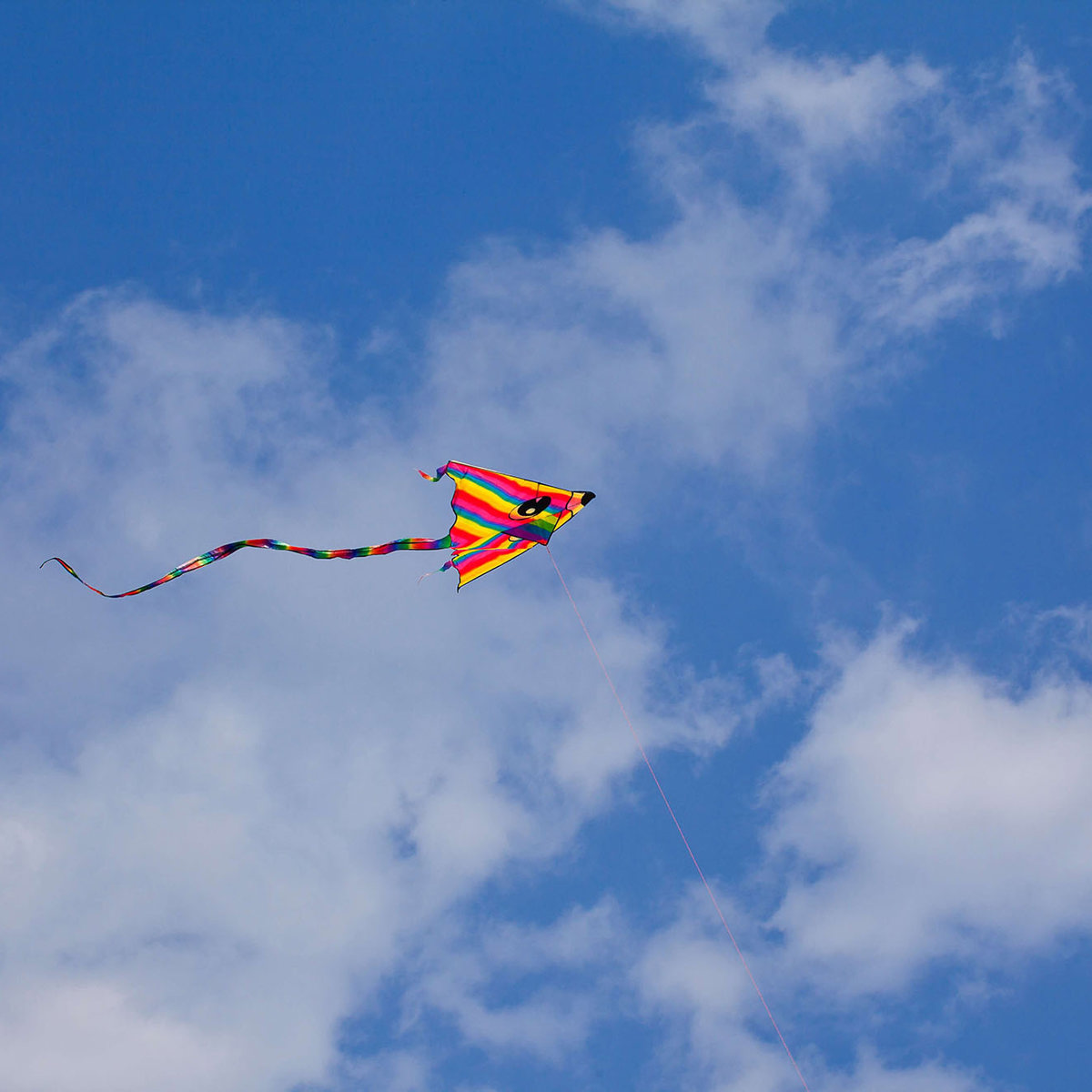 vision of flying a kite 
