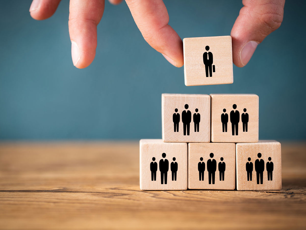 Link Governor Roles Link governors and trustees | National Governance Association