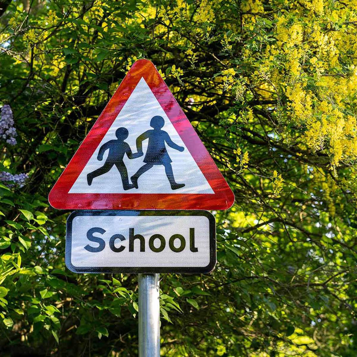 school-environment school road sign